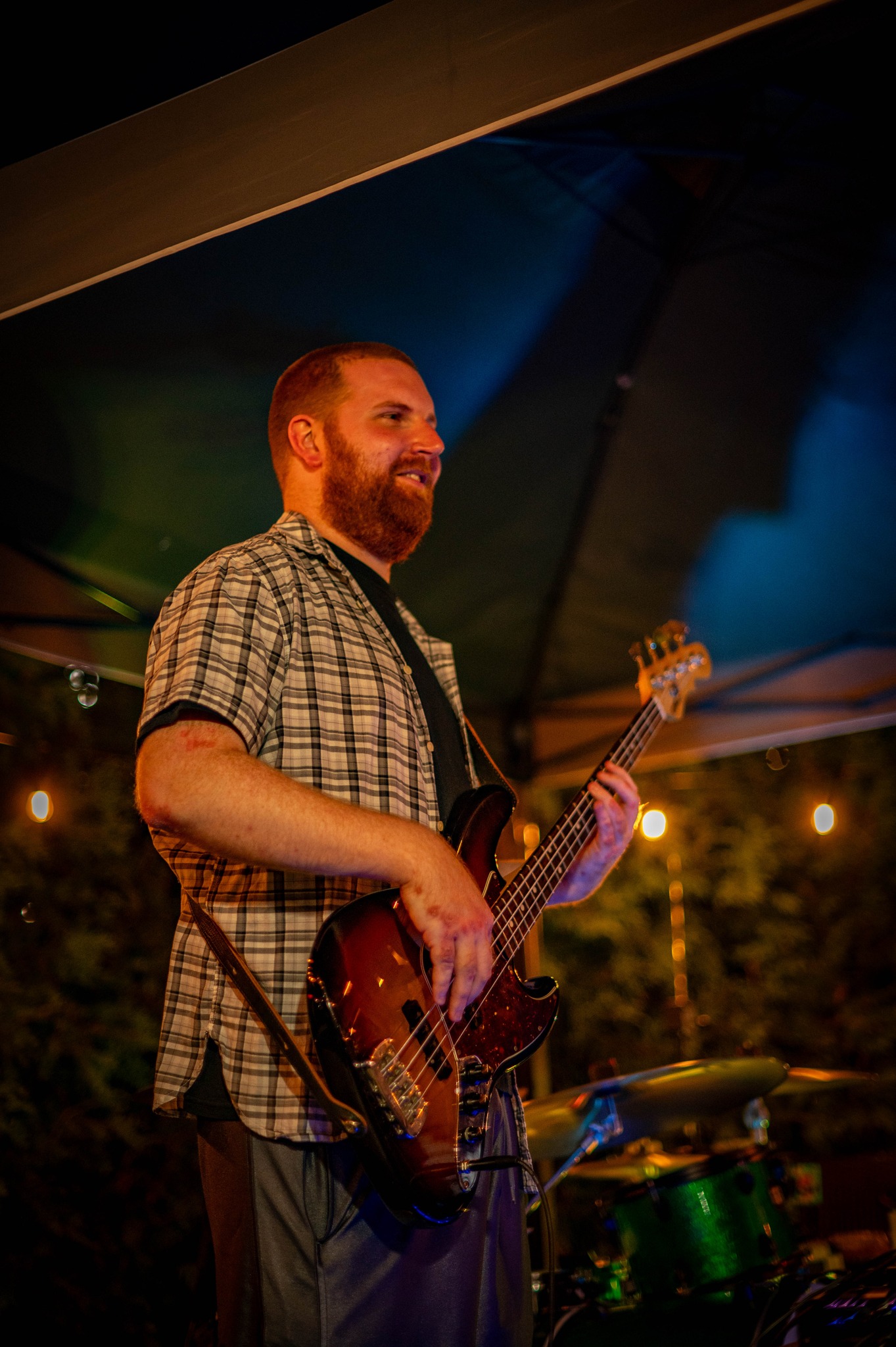 Bass guitar